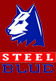 Steel Blue Safety Boots Steel Blue Safety Boots